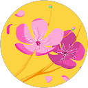 Marika Toivonen profile picture